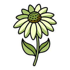 Pale Green Daisy Flower Illustration Botanical, Simple, Nature Art