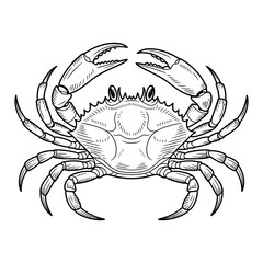 red crab on white background