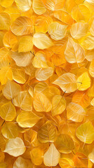 Autumn's Golden Symphony: A Dance of Xanthophyll Under Sunlight's Soft Embrace