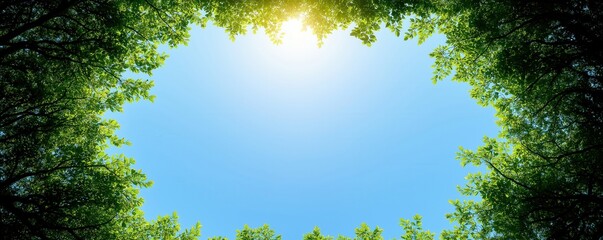 A serene view of a clear blue sky framed by vibrant green leaves, suggesting tranquility and connection with nature.
