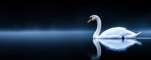 Fototapeta premium A serene white swan glides gracefully across calm waters, reflecting its beauty against a dark, moody backdrop.