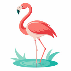 Fototapeta premium flamingo vector illustration