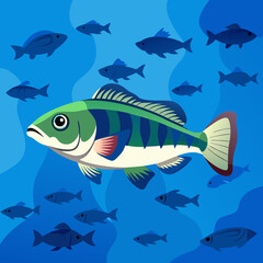 fish in the water