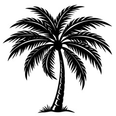 Obraz premium palm tree silhouette vector