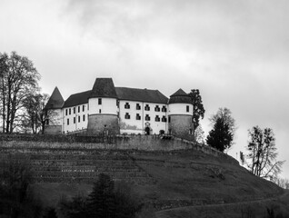 castle osilnica