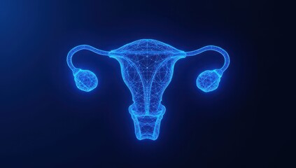 Female Reproductive System Anatomy Illustration