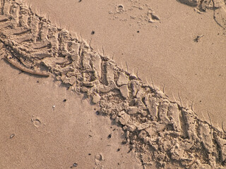 Tire track on sand of desert or beach.