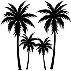 palm tree silhouette