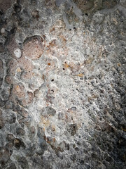 Coastal rocks and sea water as a natural background.