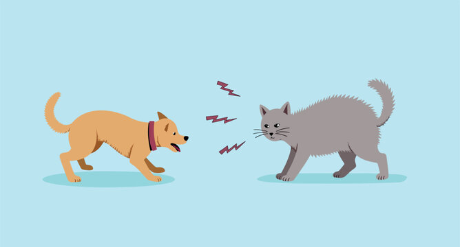 playful standoff between a light brown dog and a gray cat