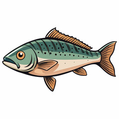 Fototapeta premium fish on white background