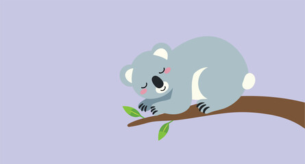 cute koala bear sleeping peacefully on a eucalyptus branch