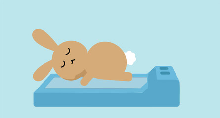 cute brown bunny taking a peaceful nap on a light blue surface