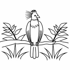 Naklejka premium vector illustration of a bird