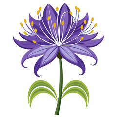 vector illustration of a lotus