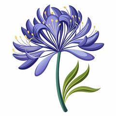 white flower on blue background