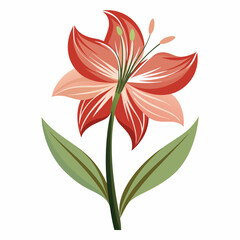 red lily flower