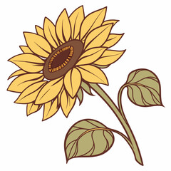 Fototapeta premium sunflower vector illustration