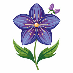 blue and white flowers