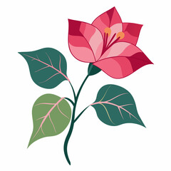 pink flower isolated on white