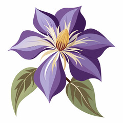 pink flower isolated on white