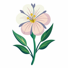 vector illustration of a pink flower