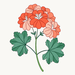 flower vector illustration