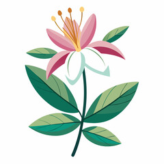 vector illustration of a pink flower