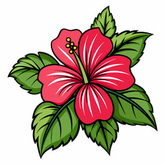 red flower isolated on white background