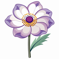 pink flower isolated on white