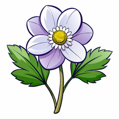 vector illustration of a daisy