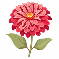 pink dahlia flower