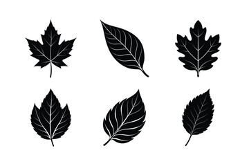 Obraz premium Vector Collection of Black Silhouette Leaves