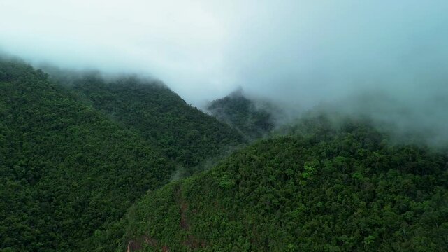 Cloud filled rainforest valley near Estrella Waterfall Palawan with steep green mountain ridges dense jungle canopy and misty tropical air