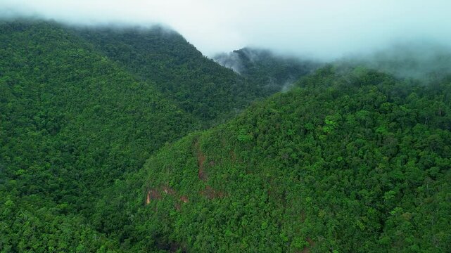 Static mountain rainforest view near Estrella Waterfall in Palawan with green ridges cloud cover mist pockets and dense tropical canopy