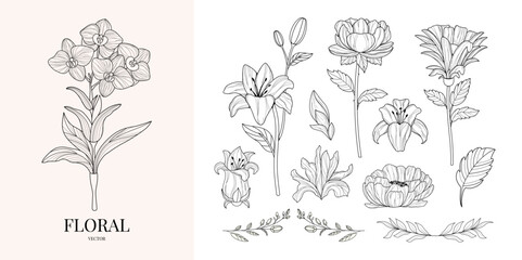 Fototapeta premium Wedding invitation. Botanical set. Elements for border. Single vintage print. Trendy elegant hand drawn floral. Frame. Line art. Silhouette of flowers. Cut out. Brunch. Tattoo. Ink, chalk. Minimalisti