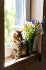 A kitten is sitting on the windowsill of a wooden house, next to wild summer flowers in a glass