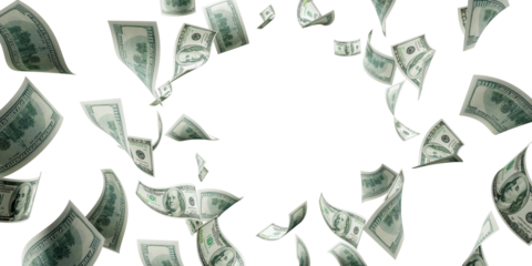 100 dollar sign on a white background
