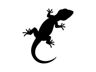Gargoyle gecko silhouette vector flat illustration design.