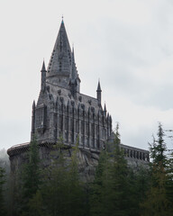 old castle surrounded by trees