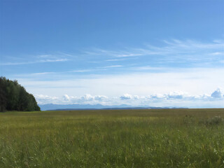 green field and blue sky