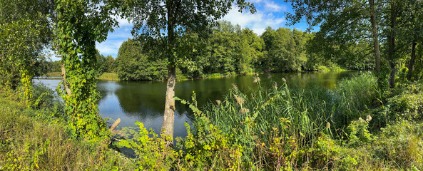 A panoramic view of a forest with a lake in the background