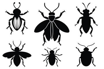 Various Beetle Silhouettes, Winged Insects, Simple Design Elements 