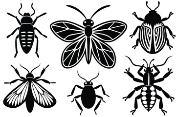 Six Black Insects Butterfly, Moth, and Beetles Collection on White Background