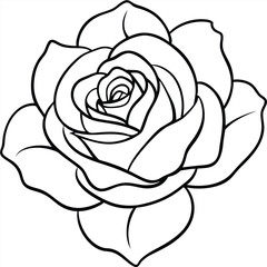 Flower Line Art – Hand-Drawn Botanical Illustrations