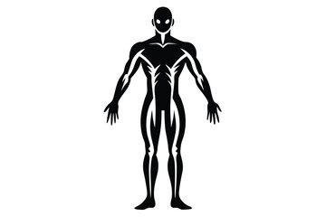 Stylized Silhouette of a Human Figure with Internal Structures, 