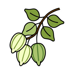 Green Gooseberries Branch, Leaves, Fruit, vector, Nature, Botany, Clipart, Vector, Graphic, De