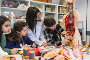 Elementary school students learning human body anatomy with teacher and anatomical model during biology class