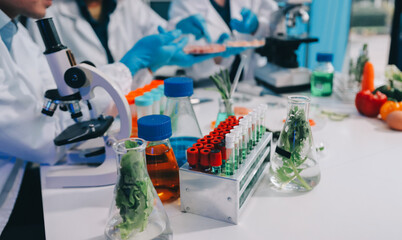 Team Asian scientists in a lab conducting food research using a microscope and lab equipment,...