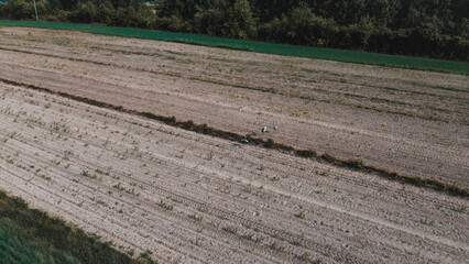 Aerial perspective of plowed field adjacent to a green forest edge